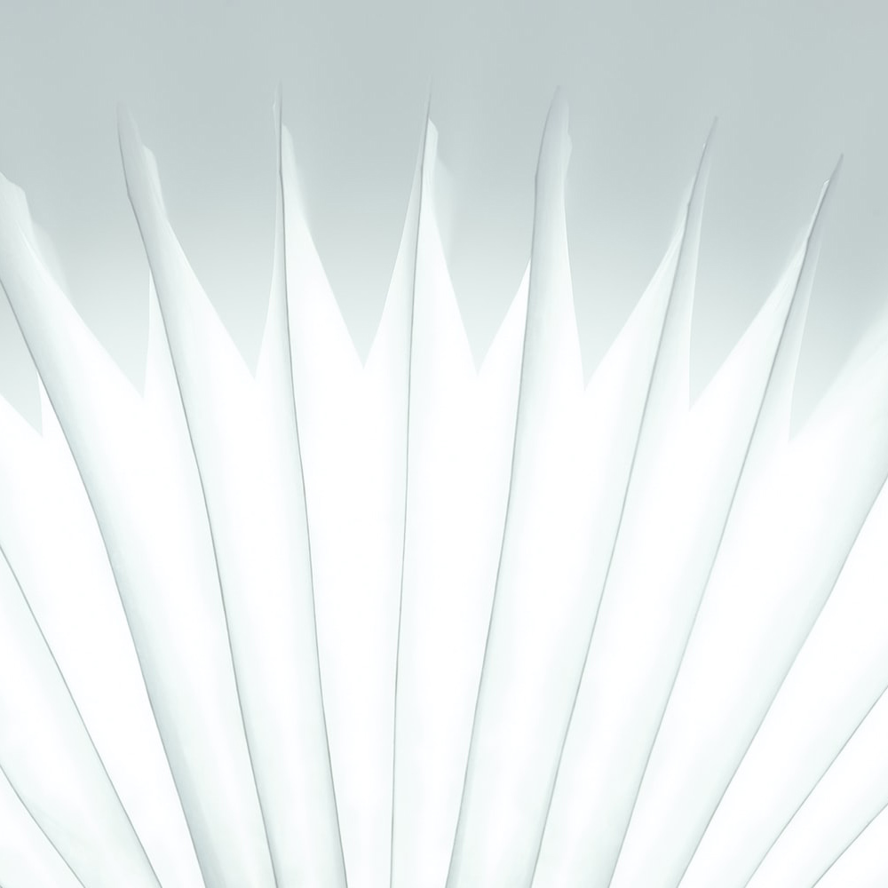 project-1 portfolio 4 1 ⋆ Qualifiquei Leads